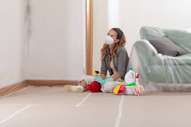 Reliable Mold Remediation contractor in Siler City, NC by Mold Remediation HQ